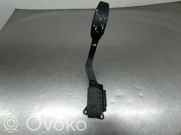Gaspedal   C497,PBTGF30