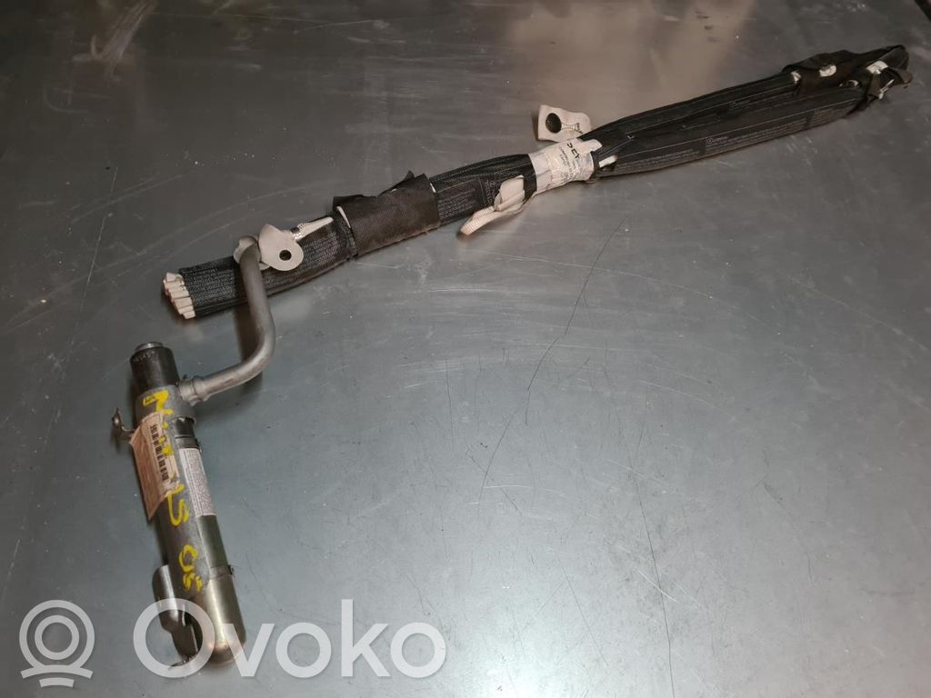 Renault Modus Airbag del techo 