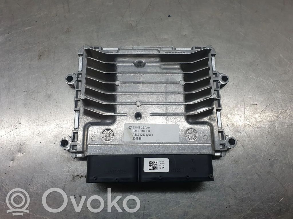 Engine control unit/module   954412BAX0,A3C0225730001