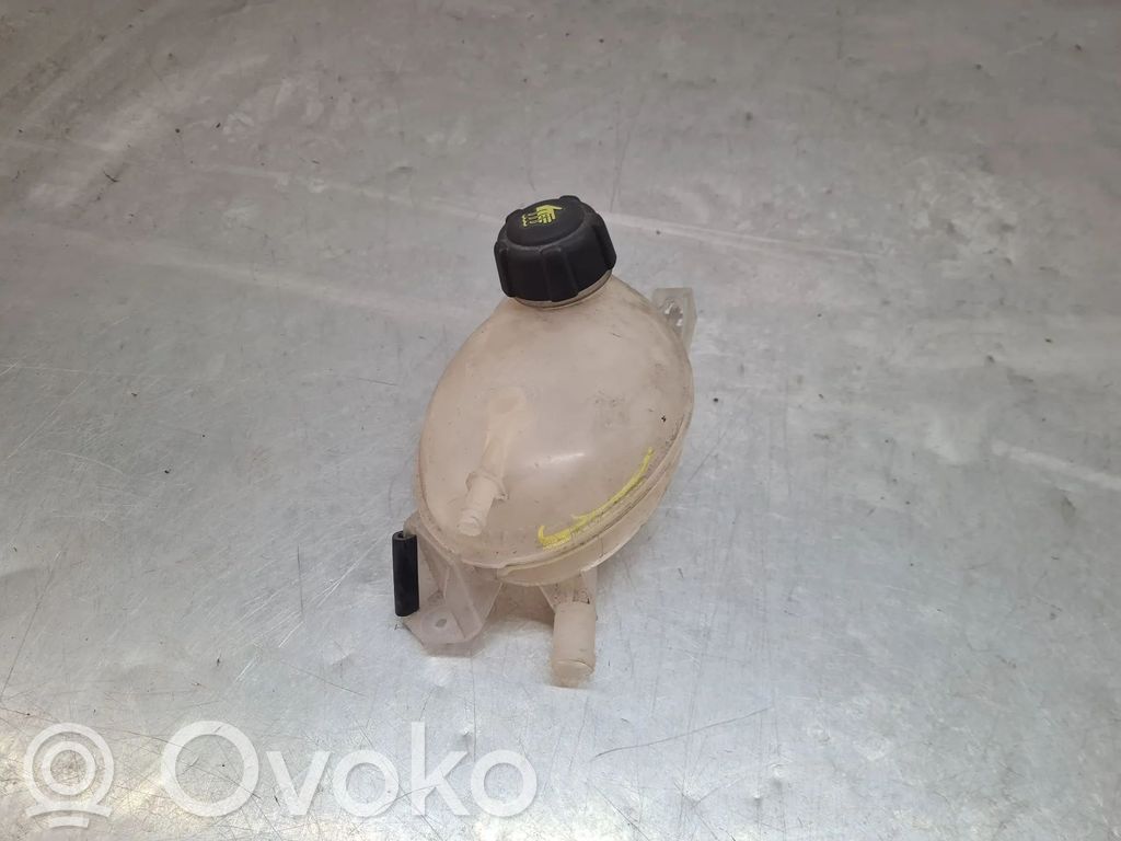 Aušinimo skysčio išsiplėtimo bakelis   217107259R