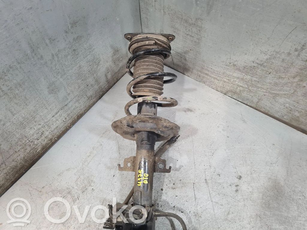 Stoßdämpfer vorne   543025368R,E4675501