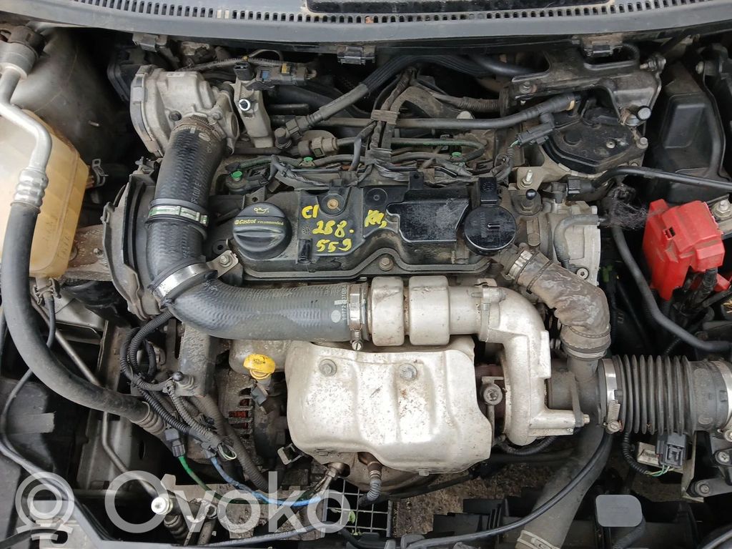 Variklis   F6JB