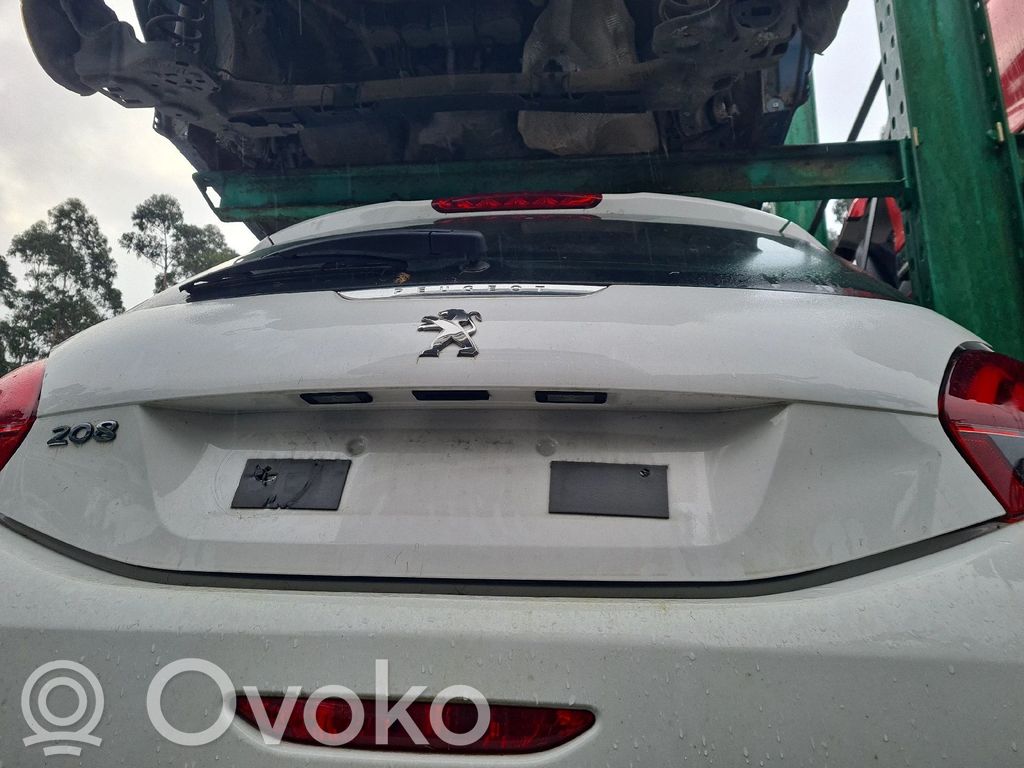 Tailgate/trunk/boot lid