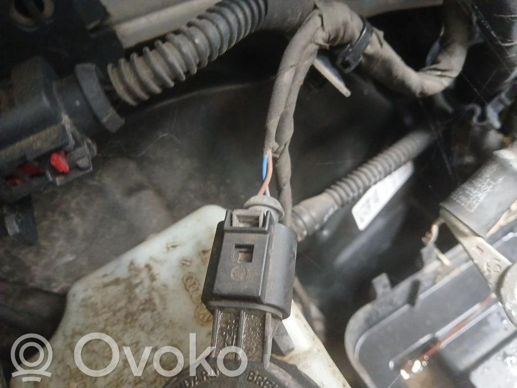 Servofreno   1T1614105AG