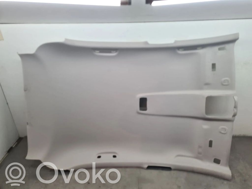 Podsufitka   739102217R,2002137,2087145,241600921R,264309166R,283123420R,572023550
