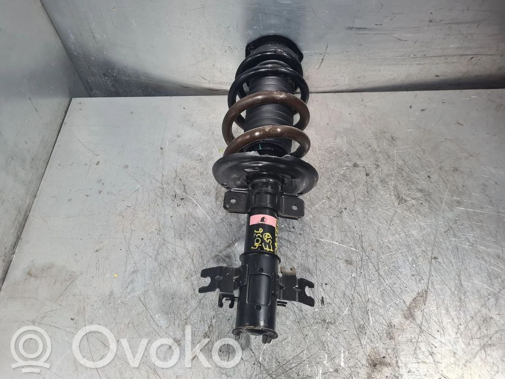 Amortiguador delantero   543021313R