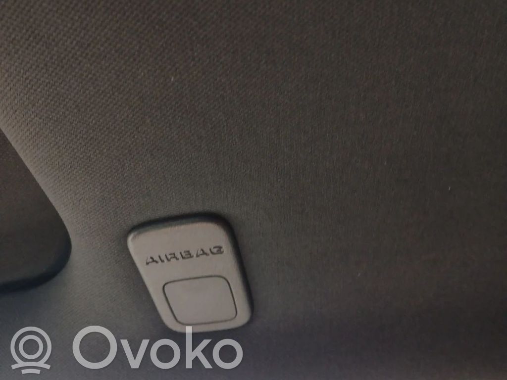 Airbag cortină