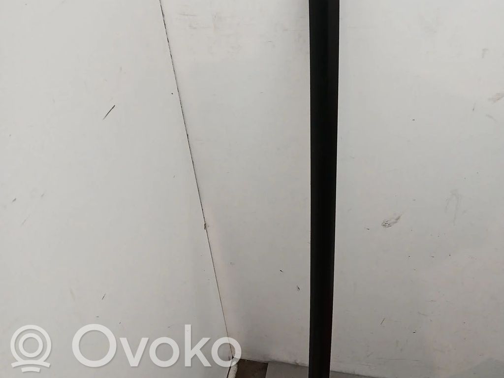 Verkleidung Türfenster Türscheibe