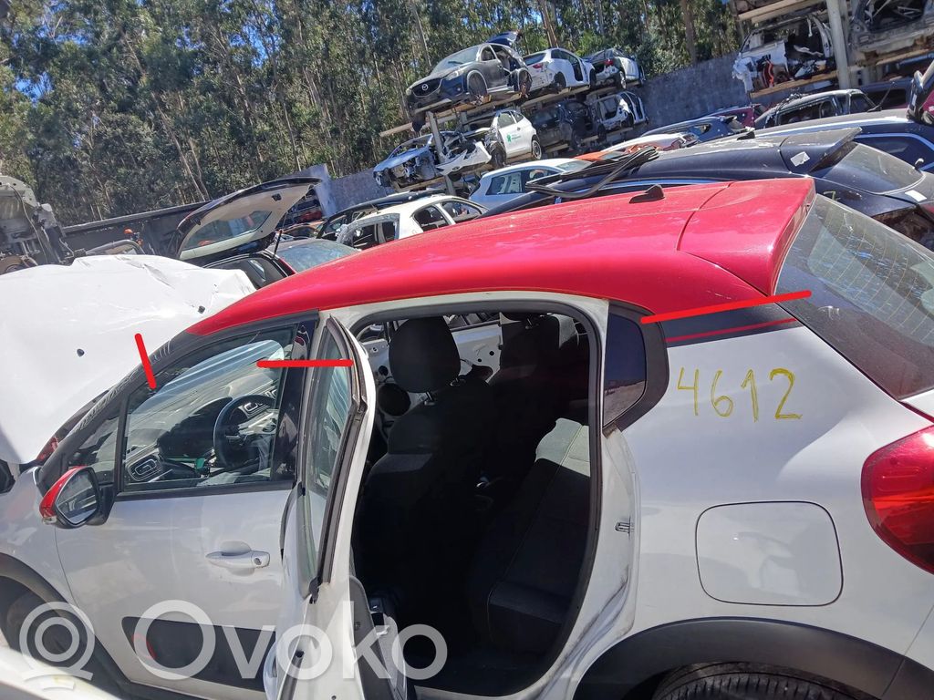 Citroen C3 Dach 