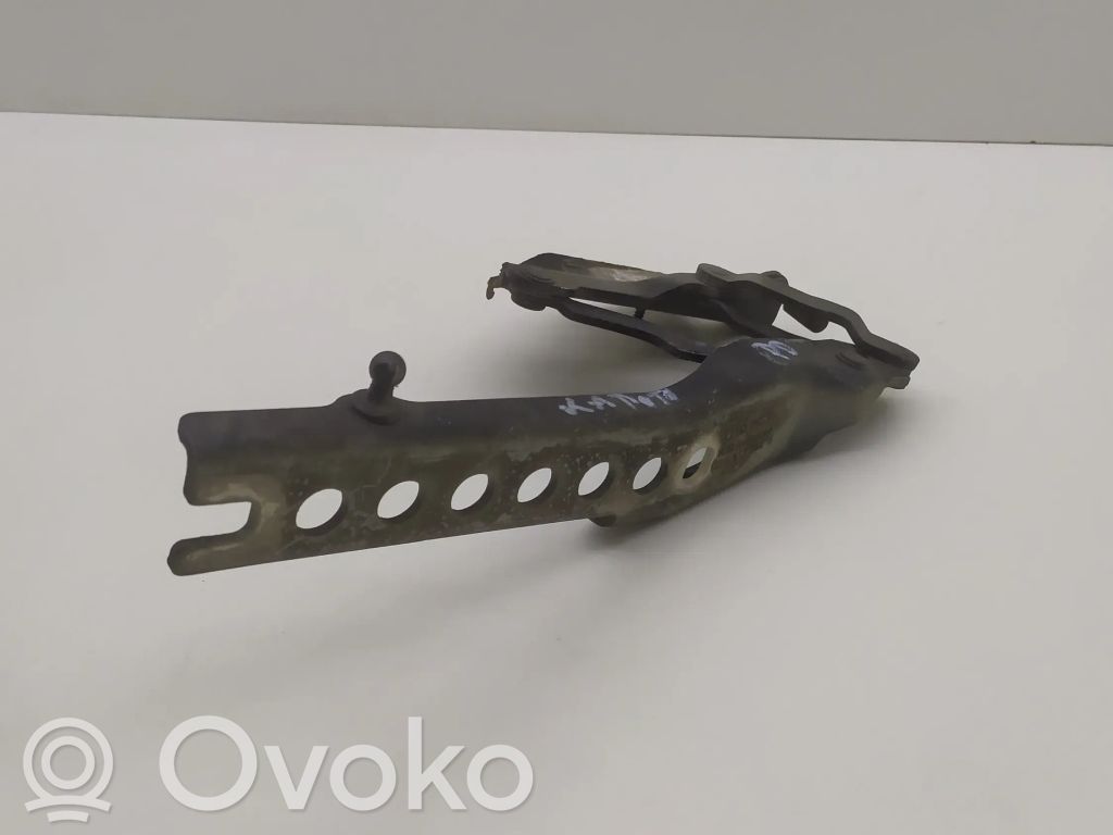 Audi A8 S8 D3 4E Engine bonnet/hood hinges 