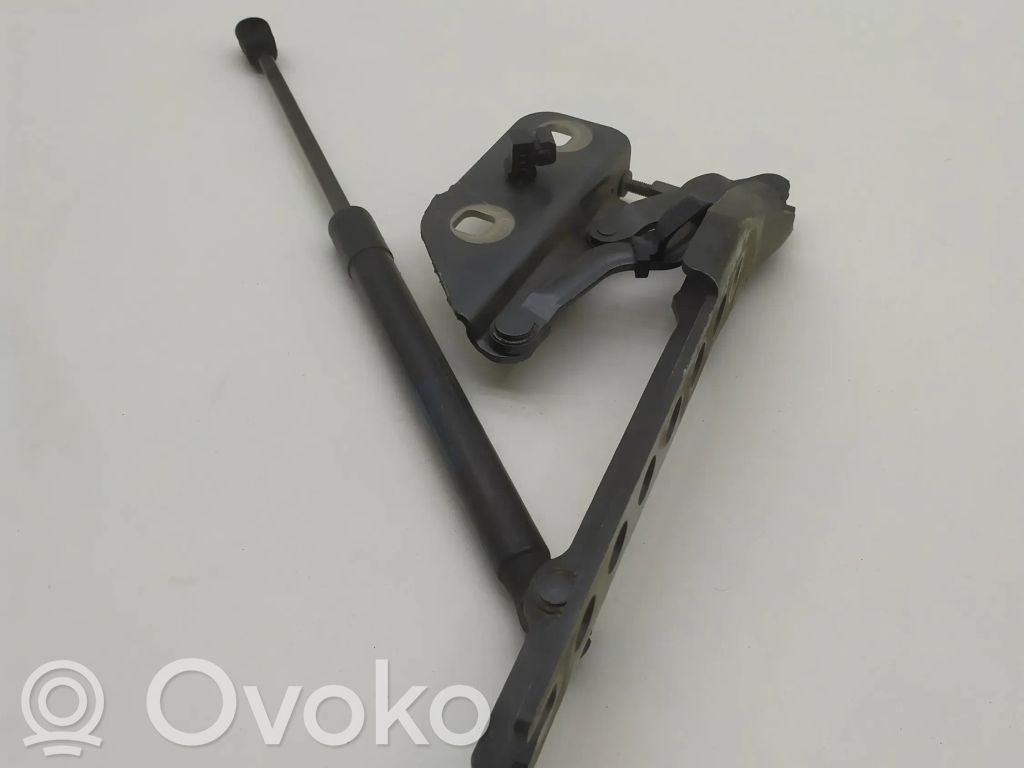 Audi A8 S8 D3 4E Engine bonnet/hood hinges 