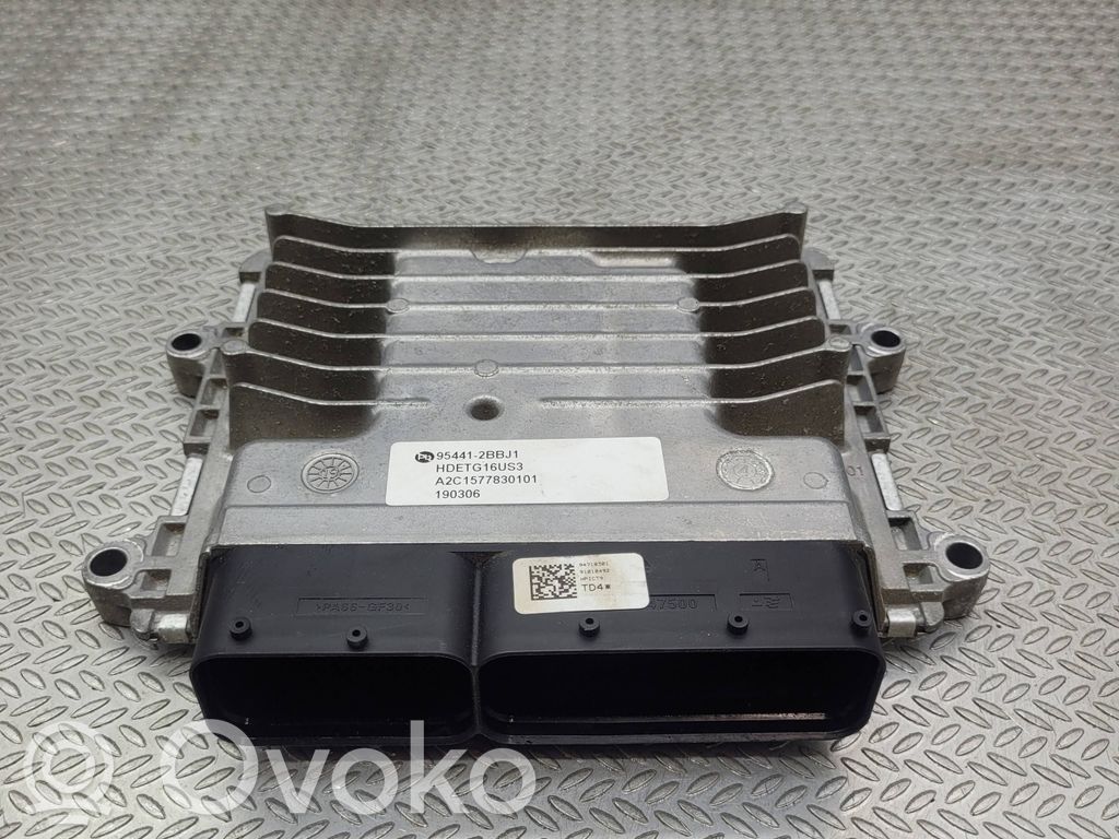 Gearbox control unit/module   954412BBJ1