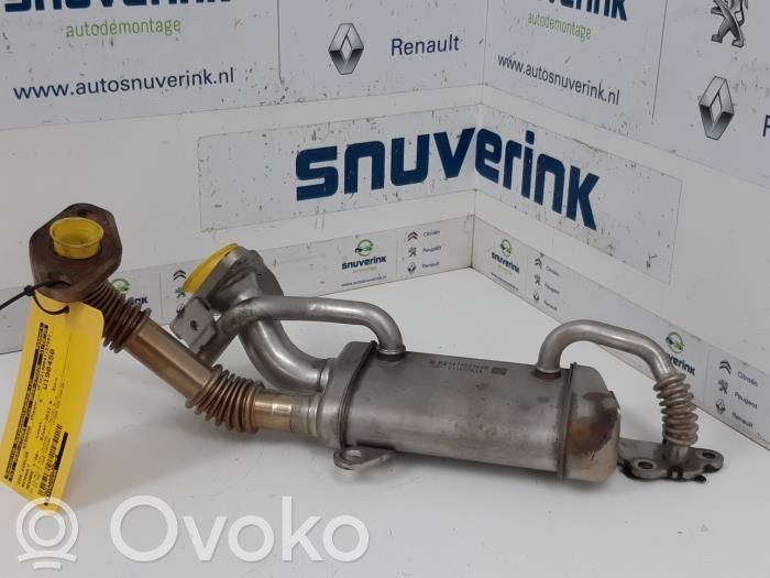 Renault Megane III Valvola di raffreddamento EGR 