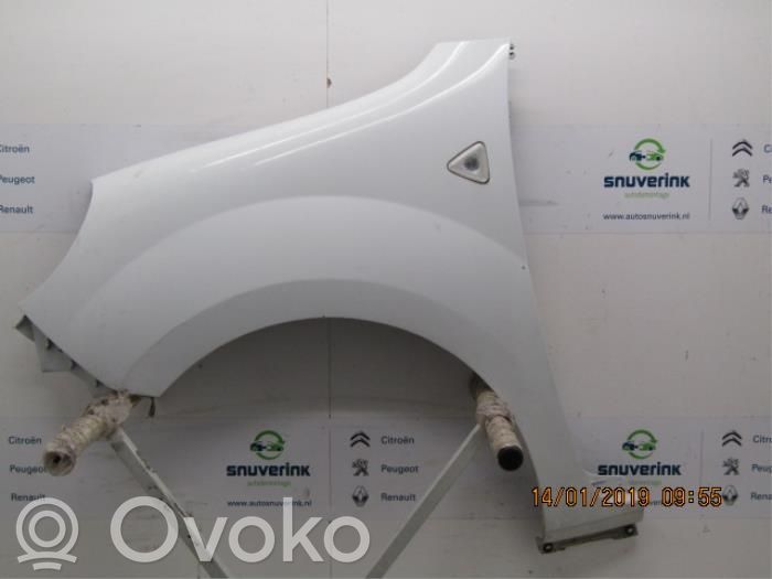 Renault Kangoo II Guardabarro 