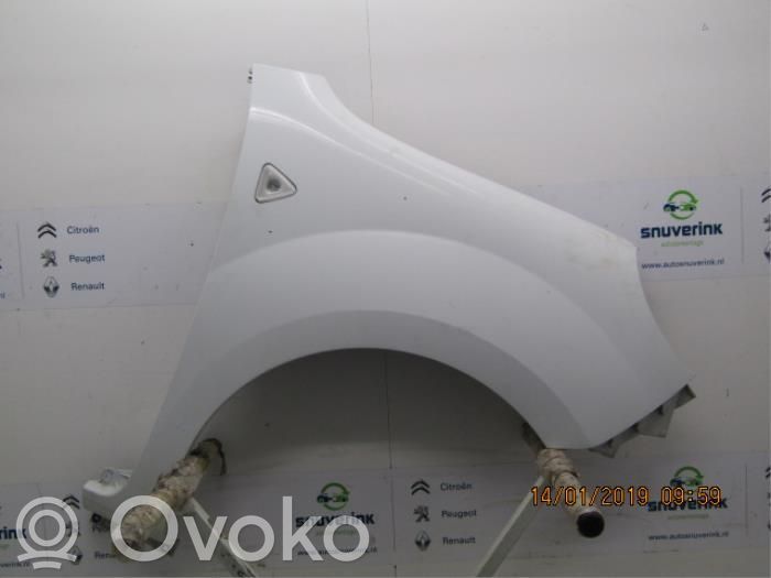 Renault Kangoo II Guardabarro 
