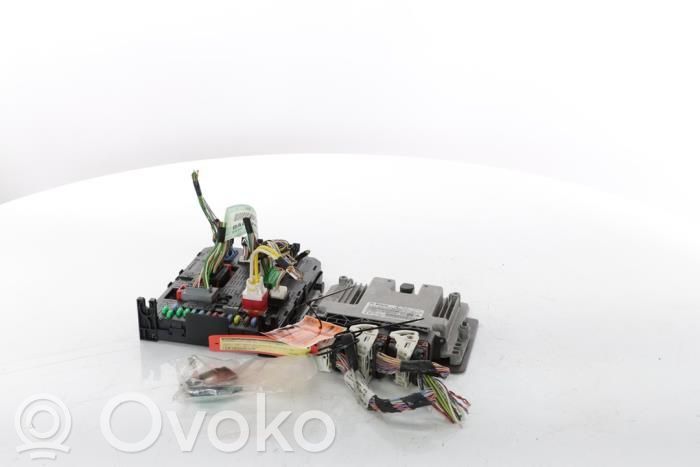 Engine control unit/module   9805947380,0281019817,9666729580