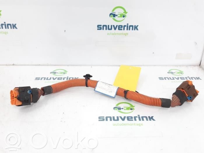 Renault Zoe Cablaj motor 