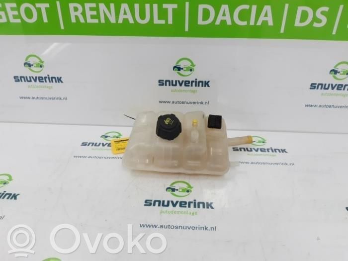 Renault Megane IV Serbatoio di compensazione del liquido refrigerante/vaschetta