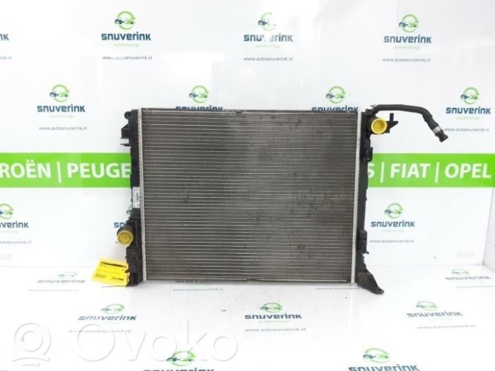 Renault Megane IV Coolant radiator 
