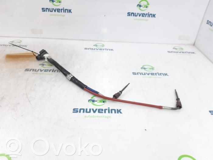 Renault Arkana Išmetimo daviklis 