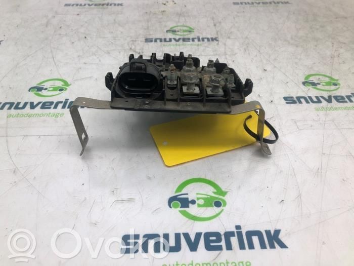 Renault Kangoo II Negative earth cable (battery) 