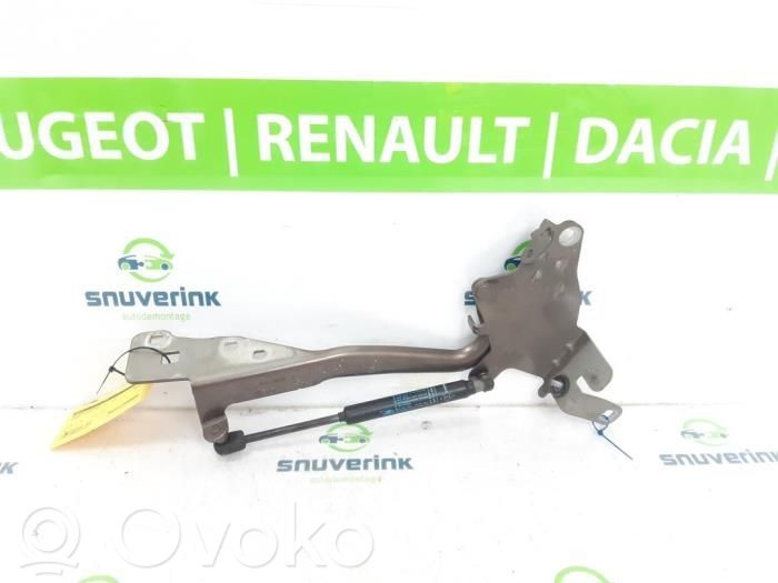 Renault Scenic III -  Grand scenic III Balamale capotă 