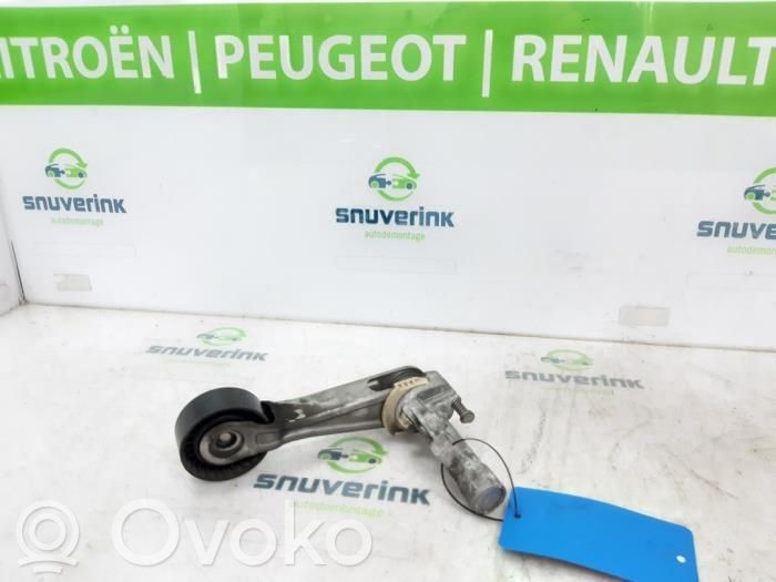 Peugeot 207 CC Tendicinghia dell’alternatore 