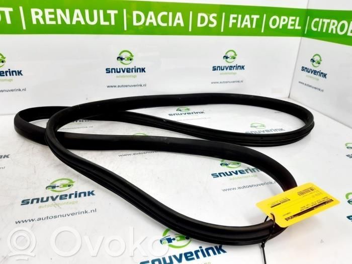 Renault Clio IV Guarnizione in gomma portiera anteriore 