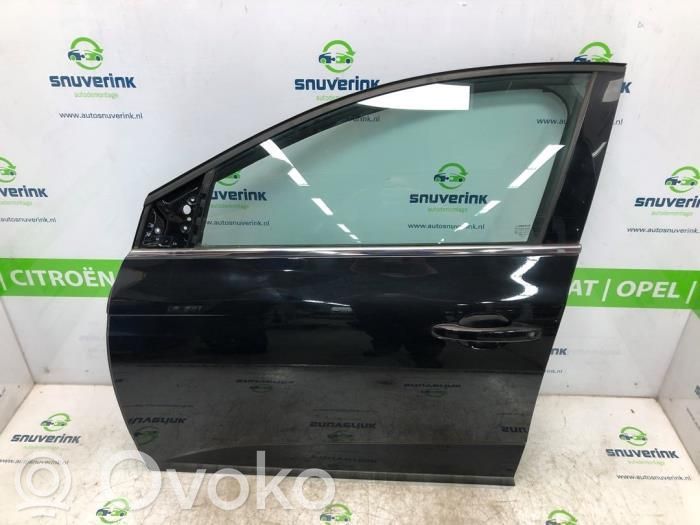 Puerta delantera   801010705R