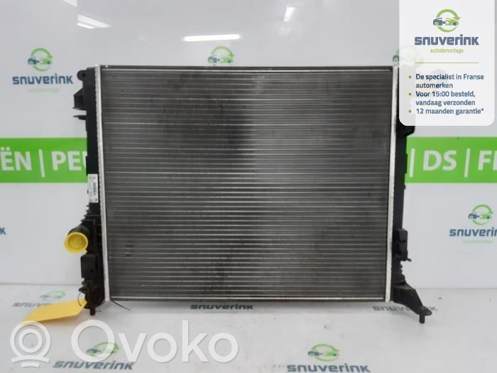 Renault Megane IV Coolant radiator 