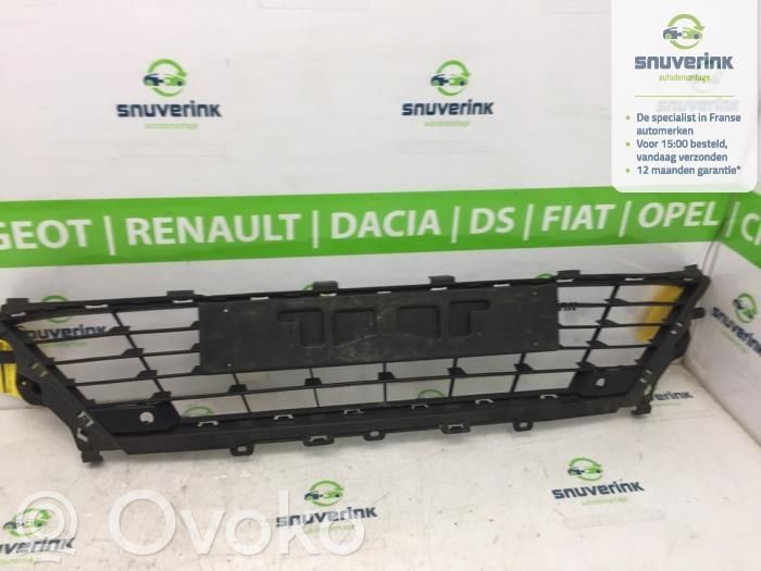 Renault Megane IV Oberes Gitter vorne 