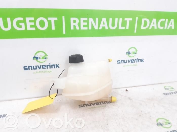 Renault Kadjar Vas expansiune/rezervor lichid de răcire 