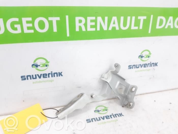 Renault Trafic III (X82) Cerniere del vano motore/cofano 