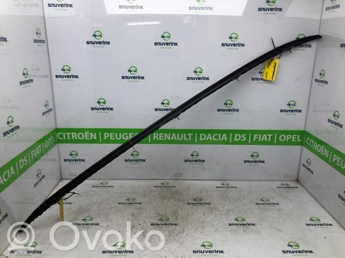 Renault Austral Katon muotolistan suoja 