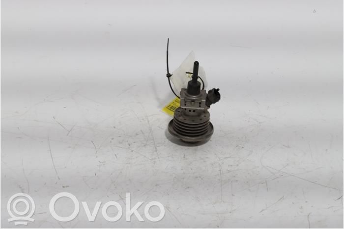 Renault Trafic III (X82) Injector AdBlue 