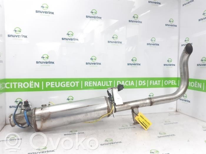 Renault Master III Filtru de particule catalizator/FAP/DPF 