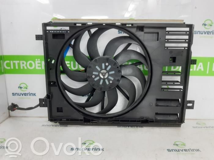 Elektrolüfter   9836055280