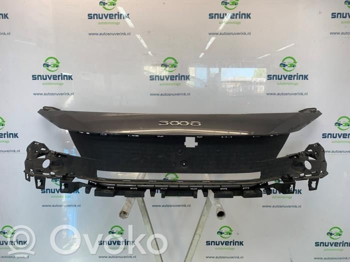 Maskownica / Grill / Atrapa górna chłodnicy   9836837080