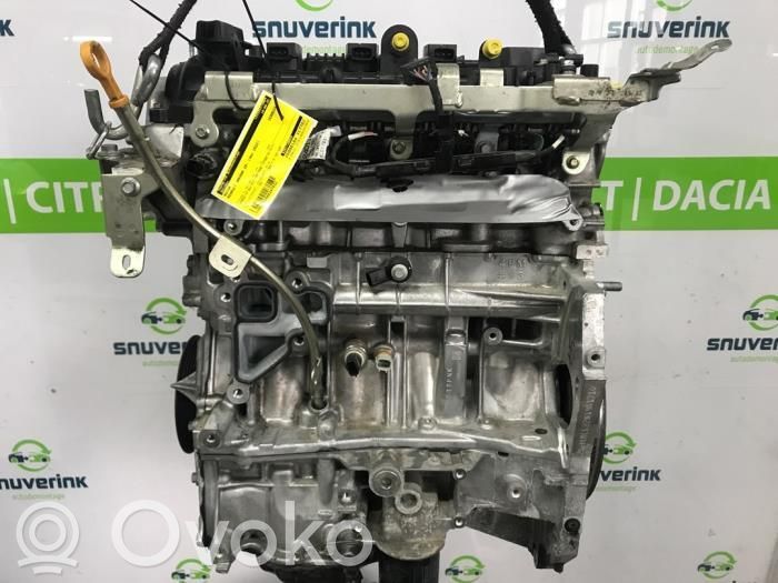 Renault Arkana Variklis 