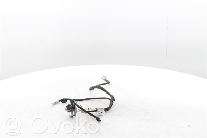 Negative earth cable (battery)   9838239980,0199300529,9828916580