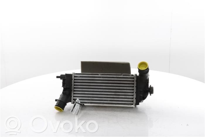 Ford Puma Radiatore intercooler 