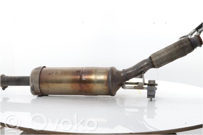 Filtr cząstek stałych Katalizator / FAP / DPF   1606412080,1606618480,PSAK568