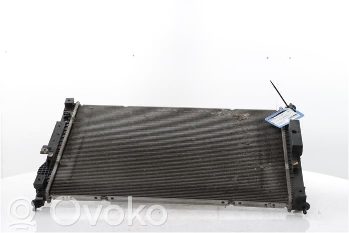 Peugeot Expert Radiator lichid răcire 