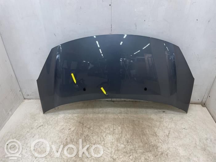 Konepelti   7901R1