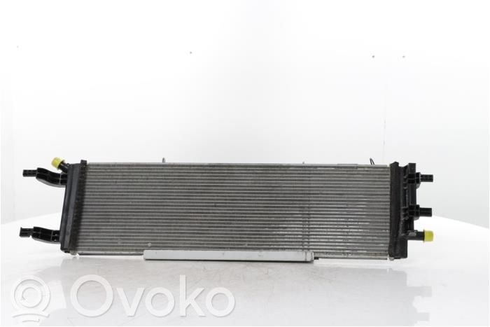 Renault Austral Coolant radiator 