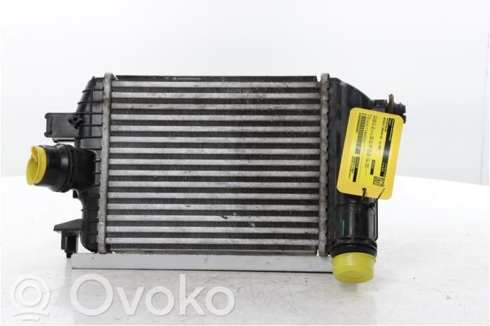 Renault Arkana Interkūlerio radiatorius 
