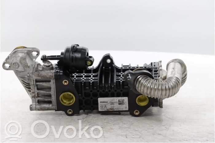 Citroen Berlingo Zawór EGR 