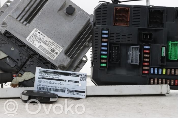Engine control unit/module   1610807880,0281031043,1611717580,1614103080,1669607480,1677614080,1677627680,9807054180,9809478580