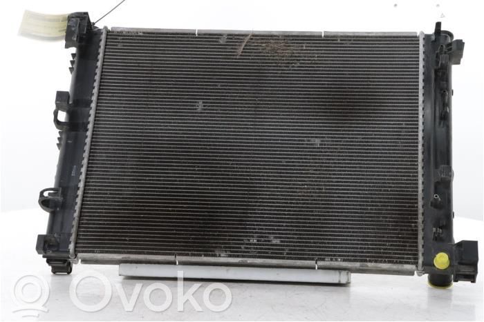 Renault Arkana Coolant radiator 