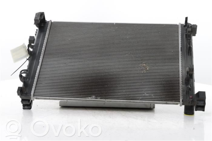 Radiator lichid răcire   214105FA0A
